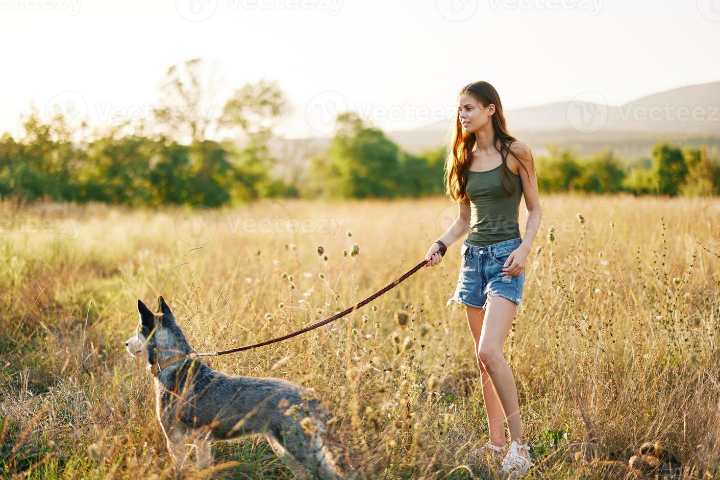 Woman walking her husky dog and smiling happily with teeth on a nature walk on the grass in the autumn sunset, lifestyle dog friend photo