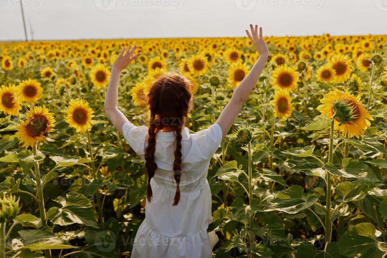 mujer espalda mirando en el girasol campo inalterado foto