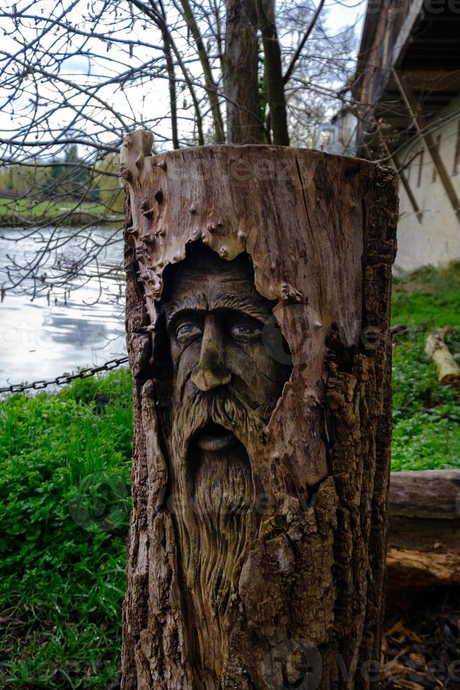 Tree trunk with face of old looking person carved into the wood in Cambridge, England photo