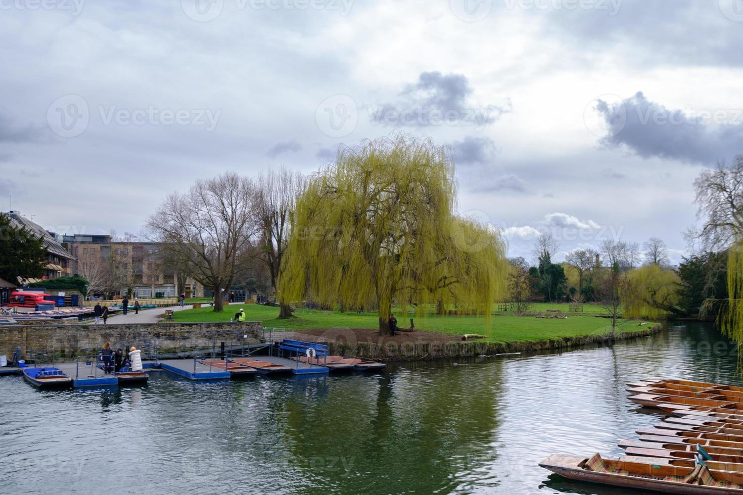 River Cam in Cambridge, England with moored punts at the  shore. photo