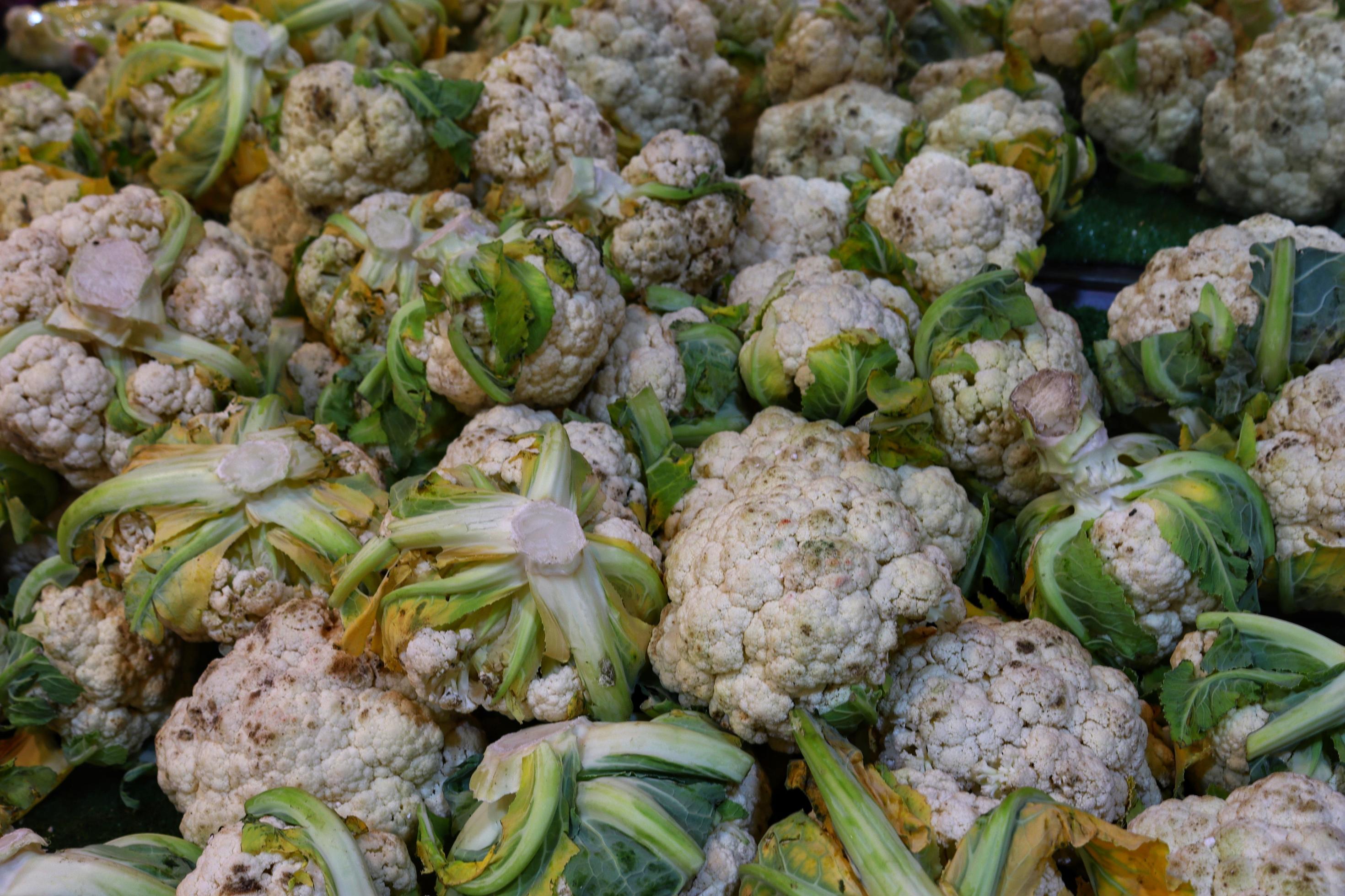 Black specks on cauliflower curd,bulk of alternaria leaf cauliflower