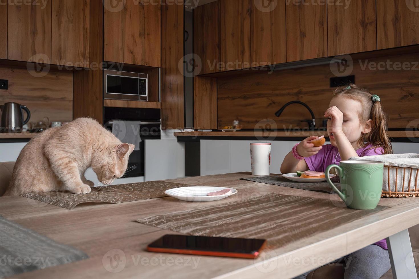 un descarado hermosa rojo gato con su familia se sienta a el mesa en el cocina durante almuerzo y come humano alimento, él quiere a robar el salchicha desde el lámina. foto