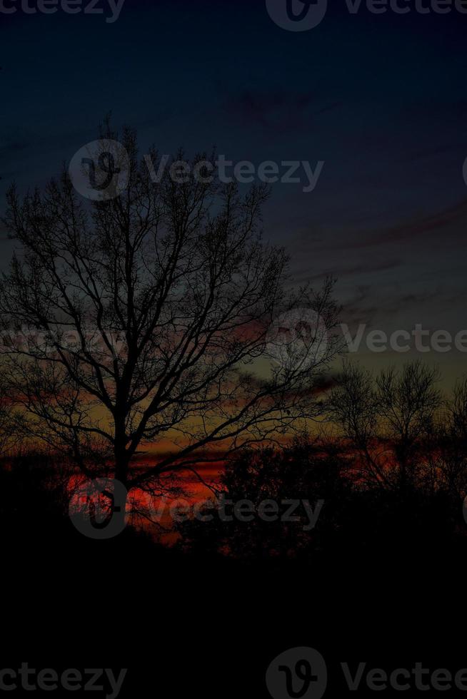 vistoso puesta de sol con rojo cielo y arboles y nubes foto