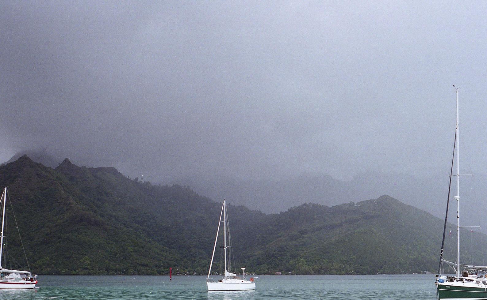 veleros en la bahía foto