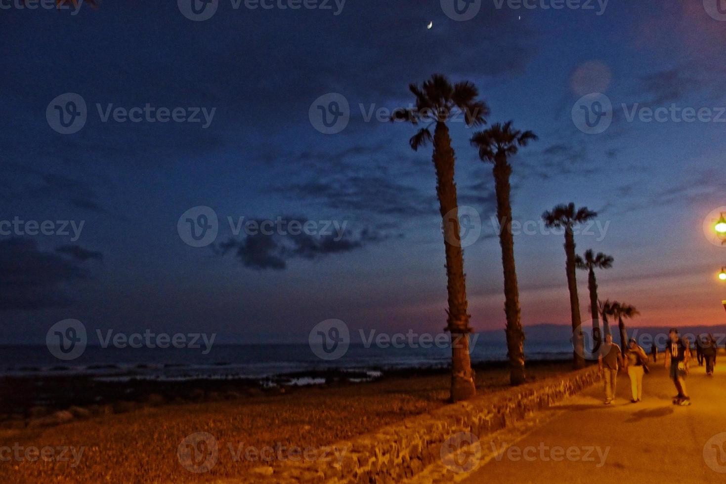 calma noche paisaje en el apuntalar con palma arboles de el Oceano en tenerife, España foto