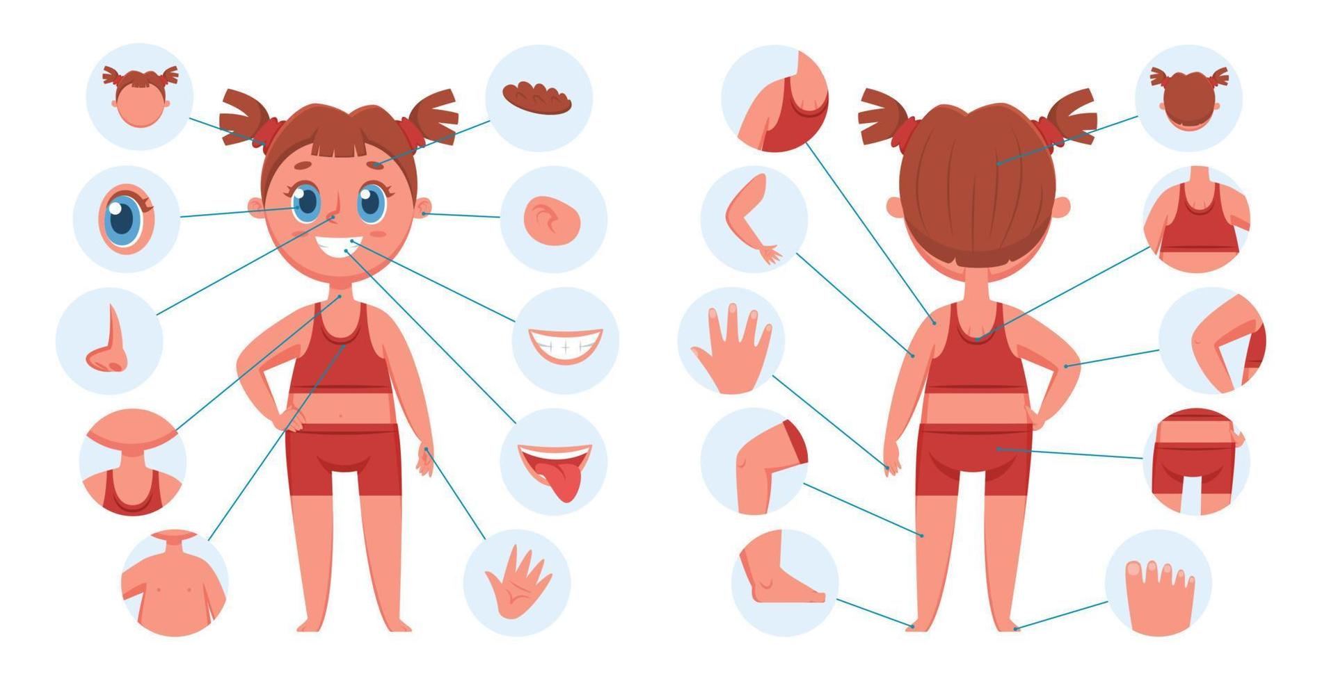 Girl body parts. Learning face parts for children. Child body part for teaching. Vector preschool human anatomy educational illustration