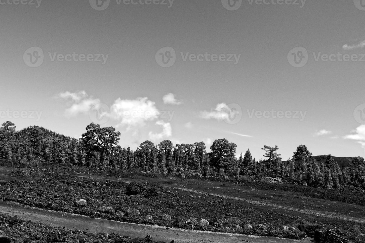 calm mountain landscape around Teide on the Spanish Canary Island Tenerife photo