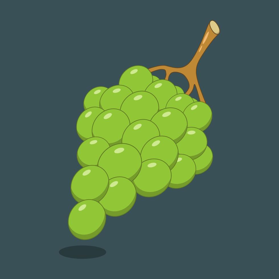 Green grapes on green background. vector