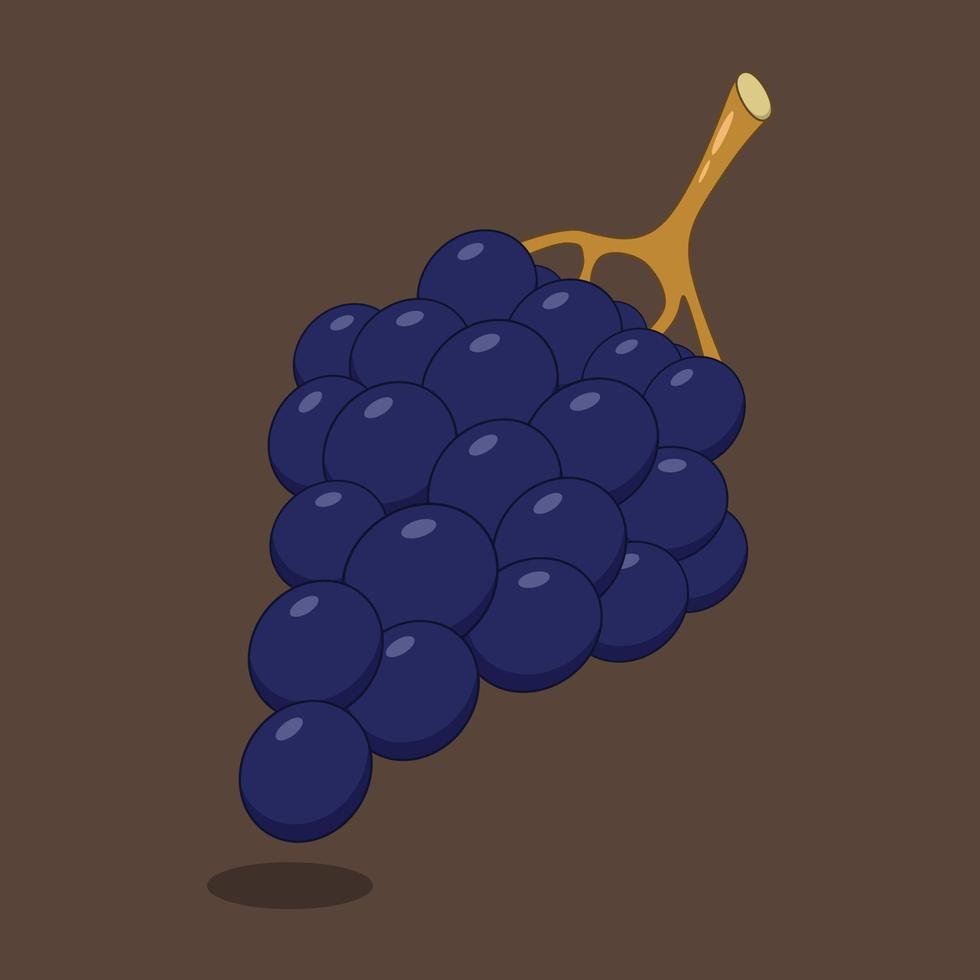 Vector blue grape isolated on background.