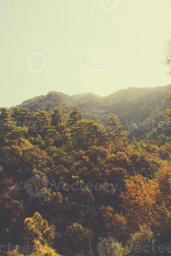 summer holiday green landscape with mountainous turkey on a warm sunny day photo