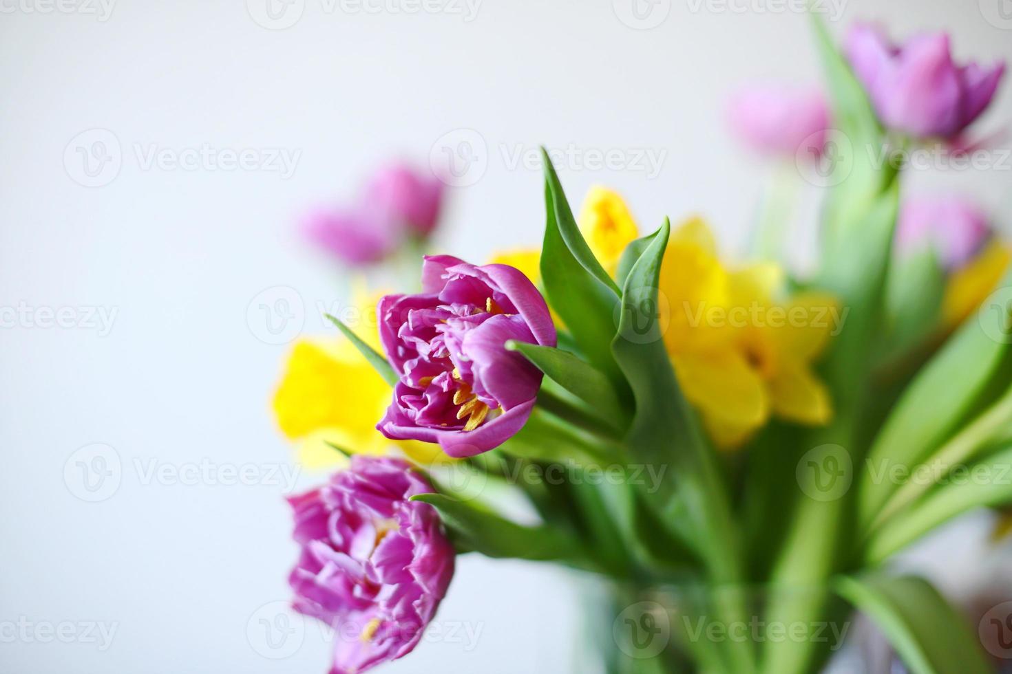 Tulips and narcissus in vase, home decor photo