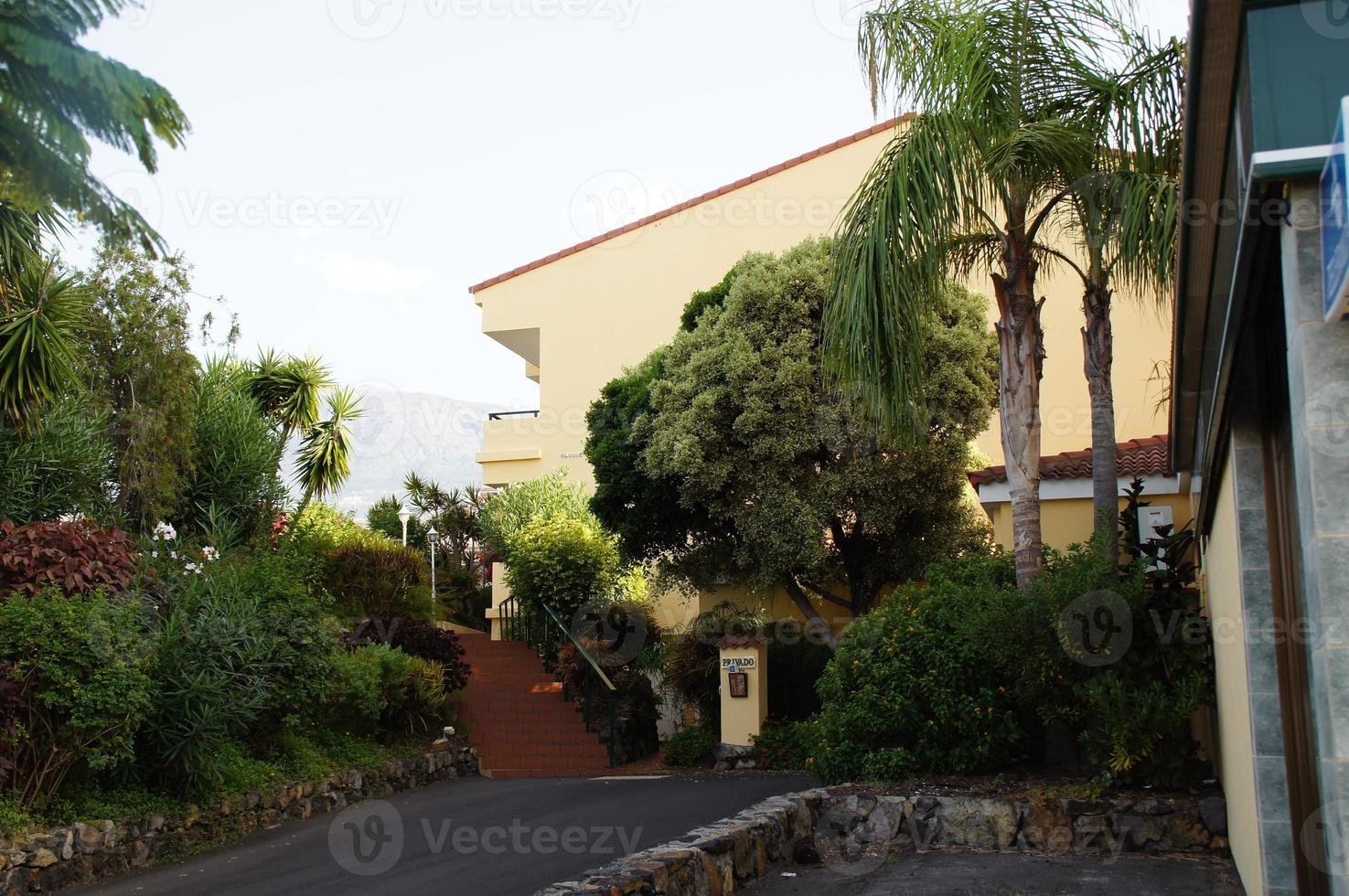 interesting colorful holiday houses in the streets of the Spanish city of Puerto De la Cruz in Tenerife photo