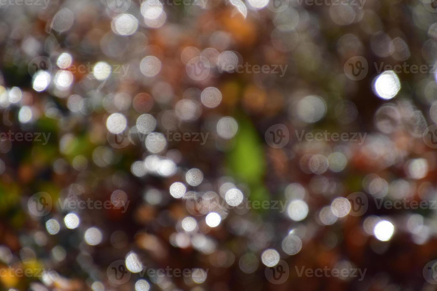 original abstract background texture in autumnal colors photo