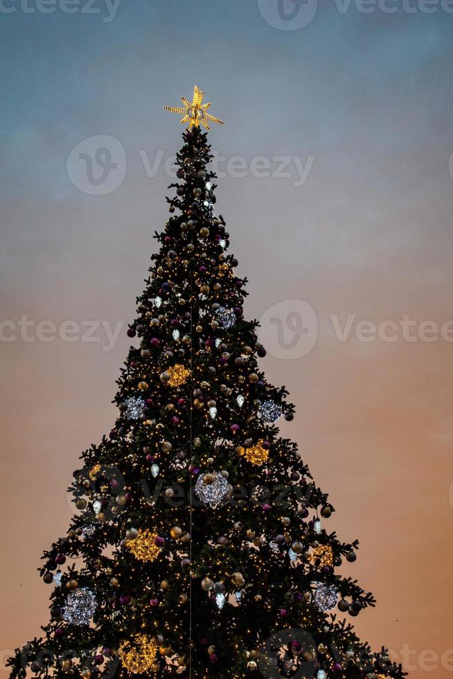 colorful Christmas tree shimmering against the background of the evening pastel sky photo