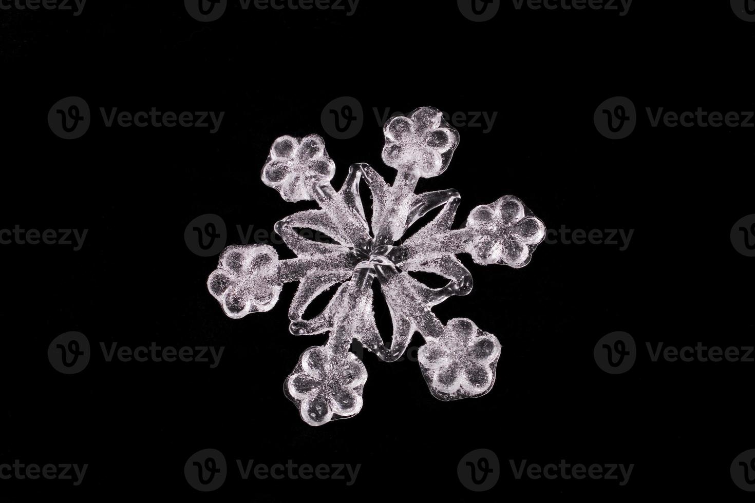 WHITE SNOWFLAKE CLOSE UP photo