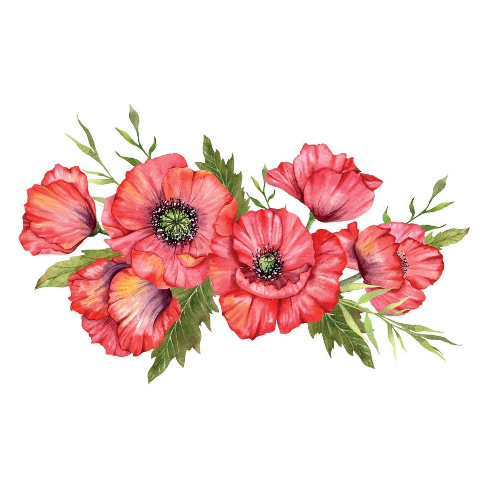 Red Poppy Flowers Watercolor Illustration,  Hand Painted Wildflowers Bouquet. Perfect for wedding invitations, bridal shower and  floral greeting cards vector