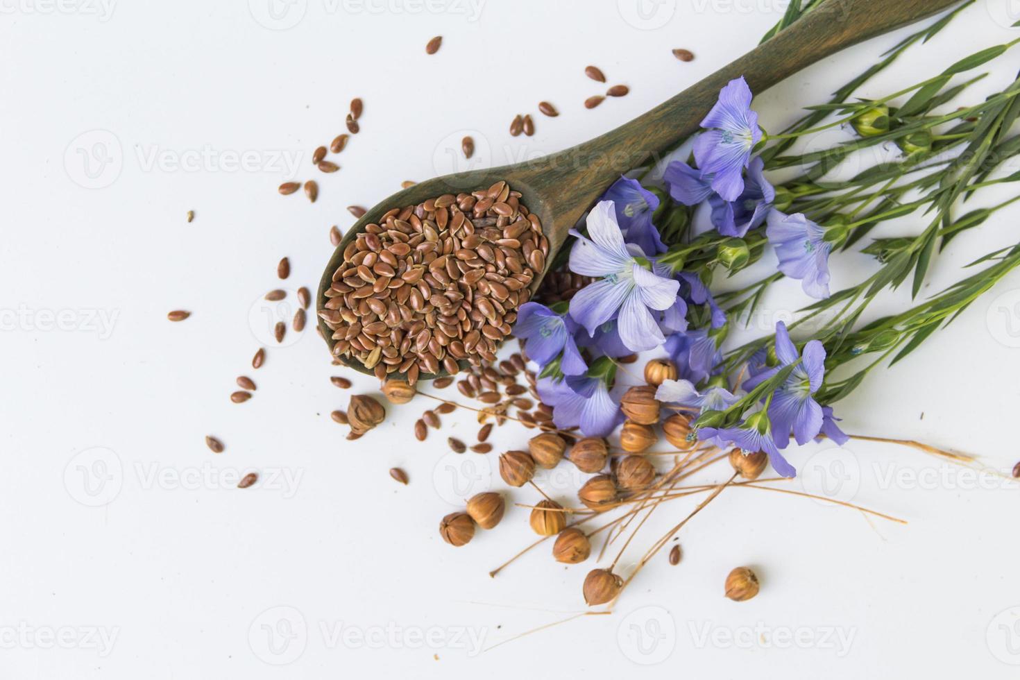 composition of flax flowers and suchara with seeds photo