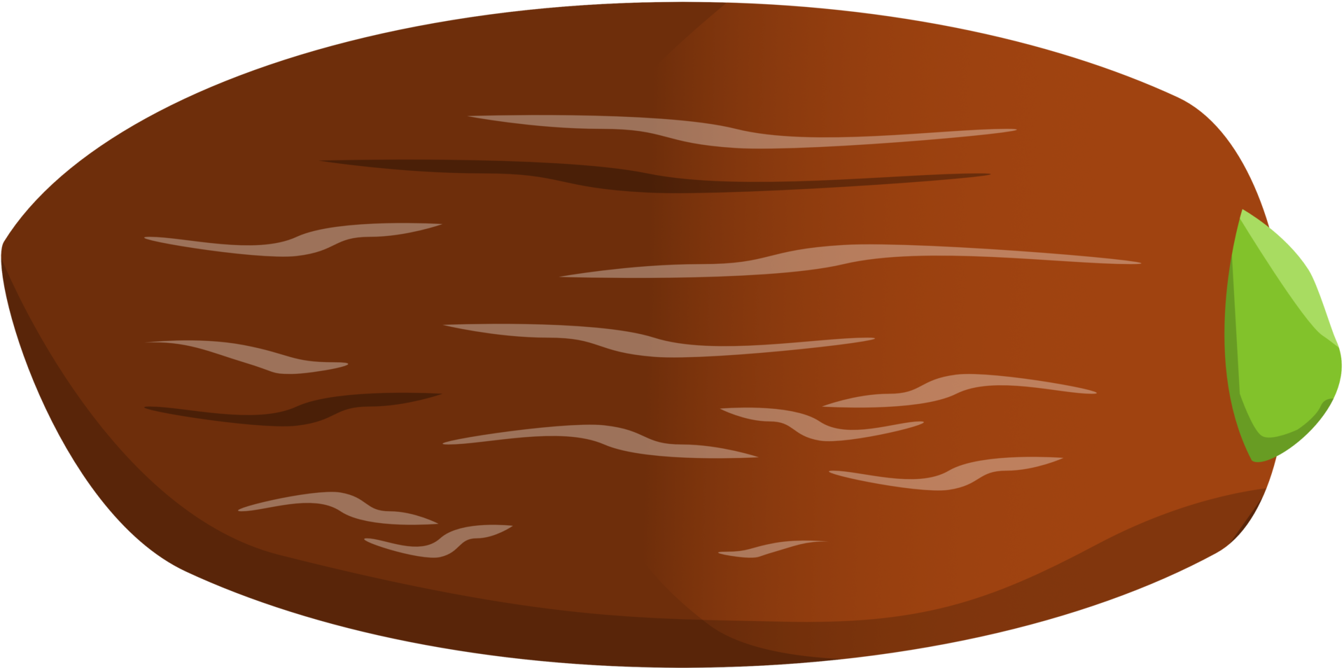 Dates fruit. Kurma fruit png