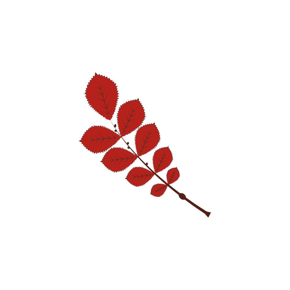 autumn red color leaf vector icon