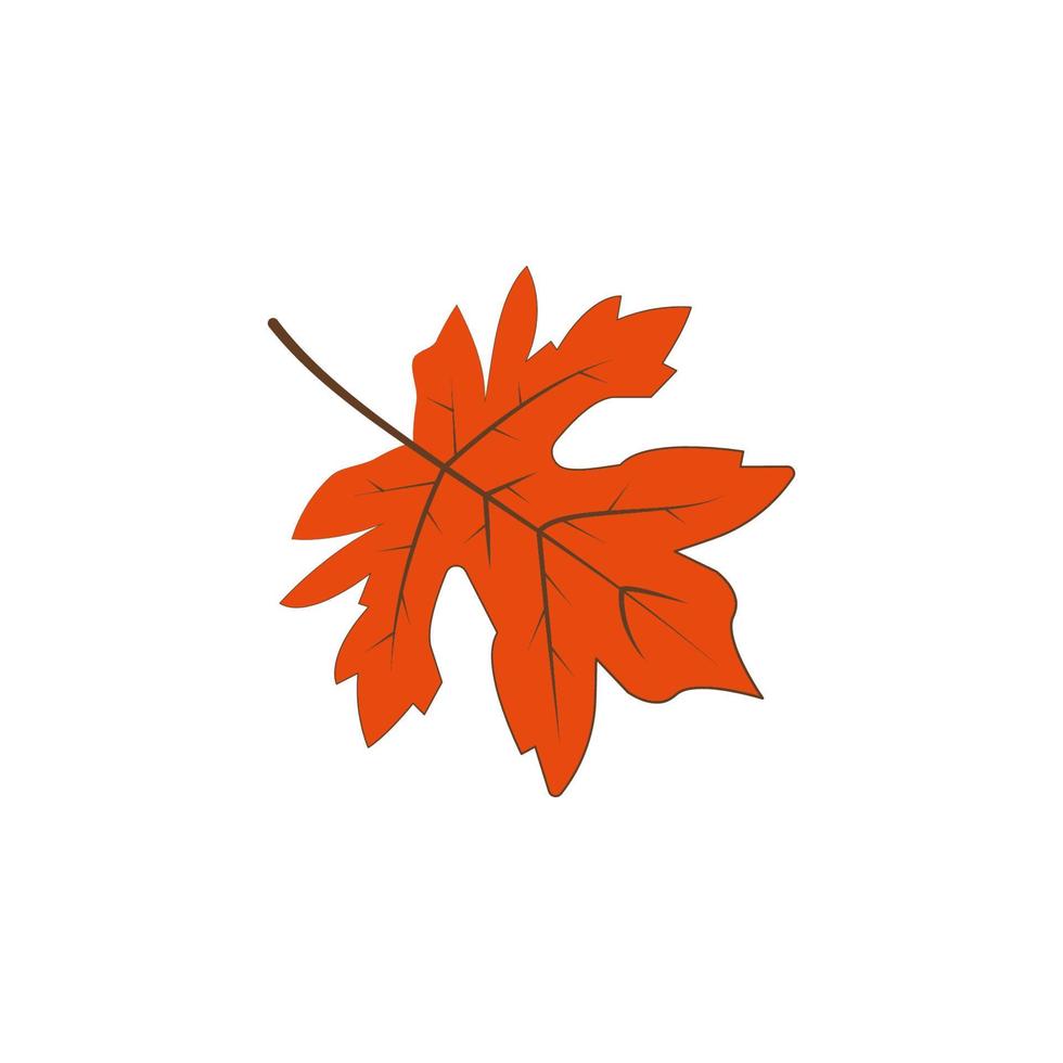 autumn orange color leaf vector icon