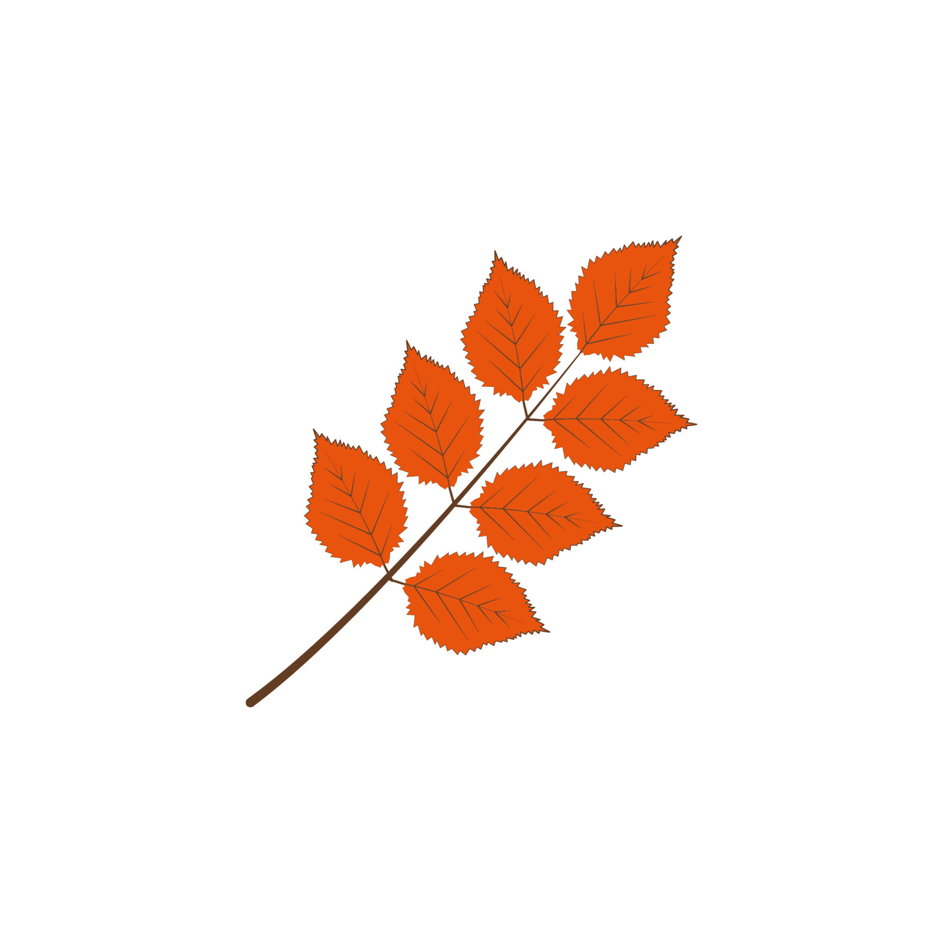 autumn orange color leaf vector icon 22414166 Vector Art at Vecteezy