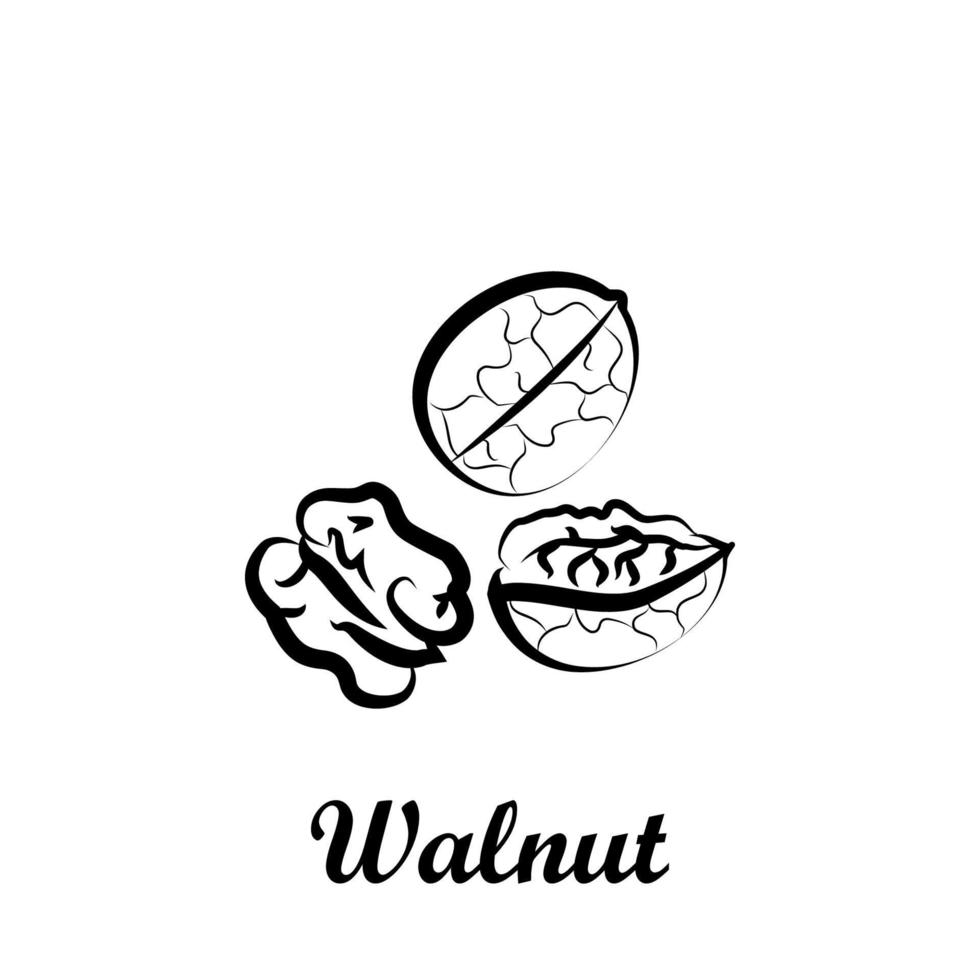 Crustaceans, fruit, walnut vector icon