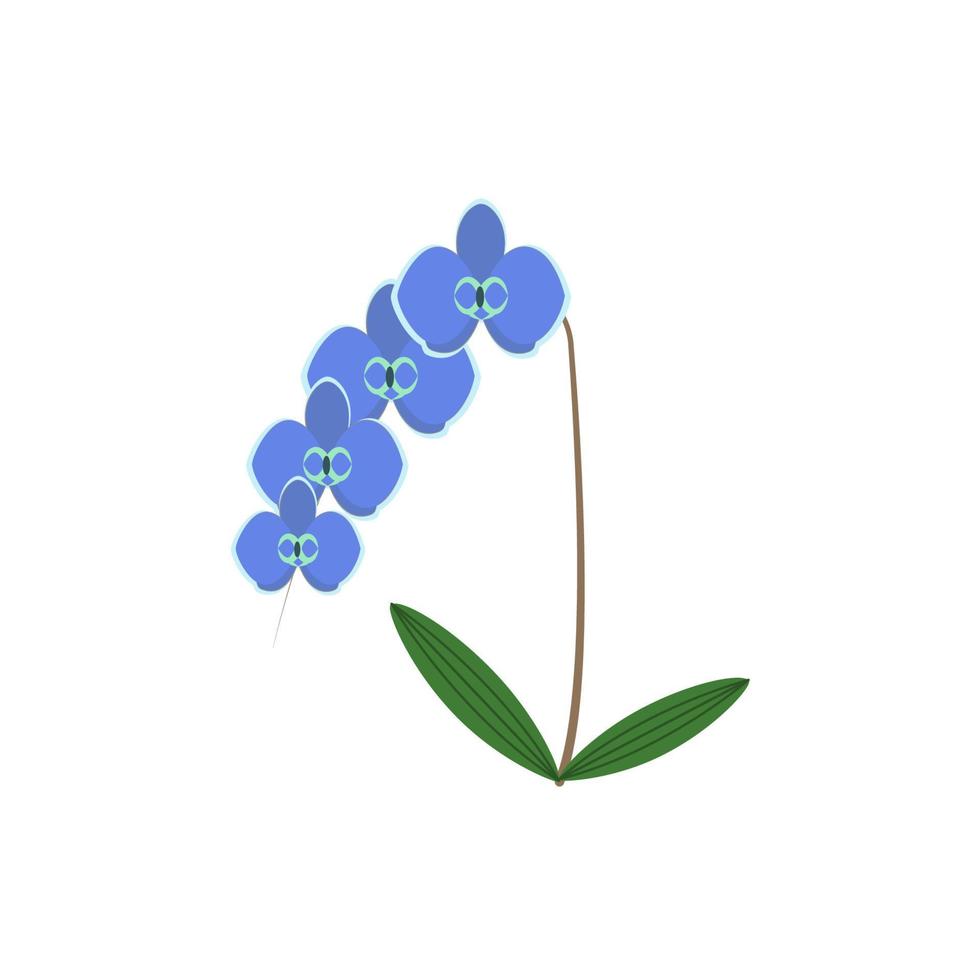 Orchid flower blue color vector icon