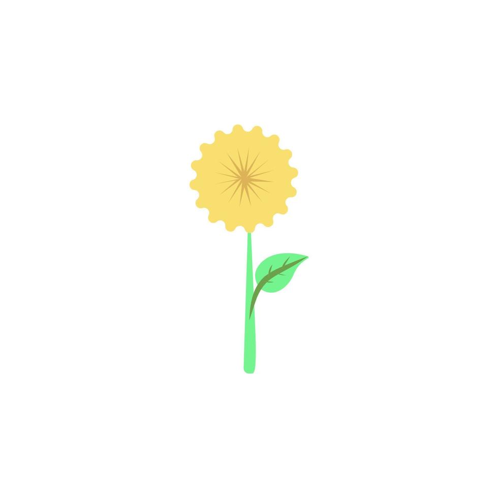 chamomile colored vector icon