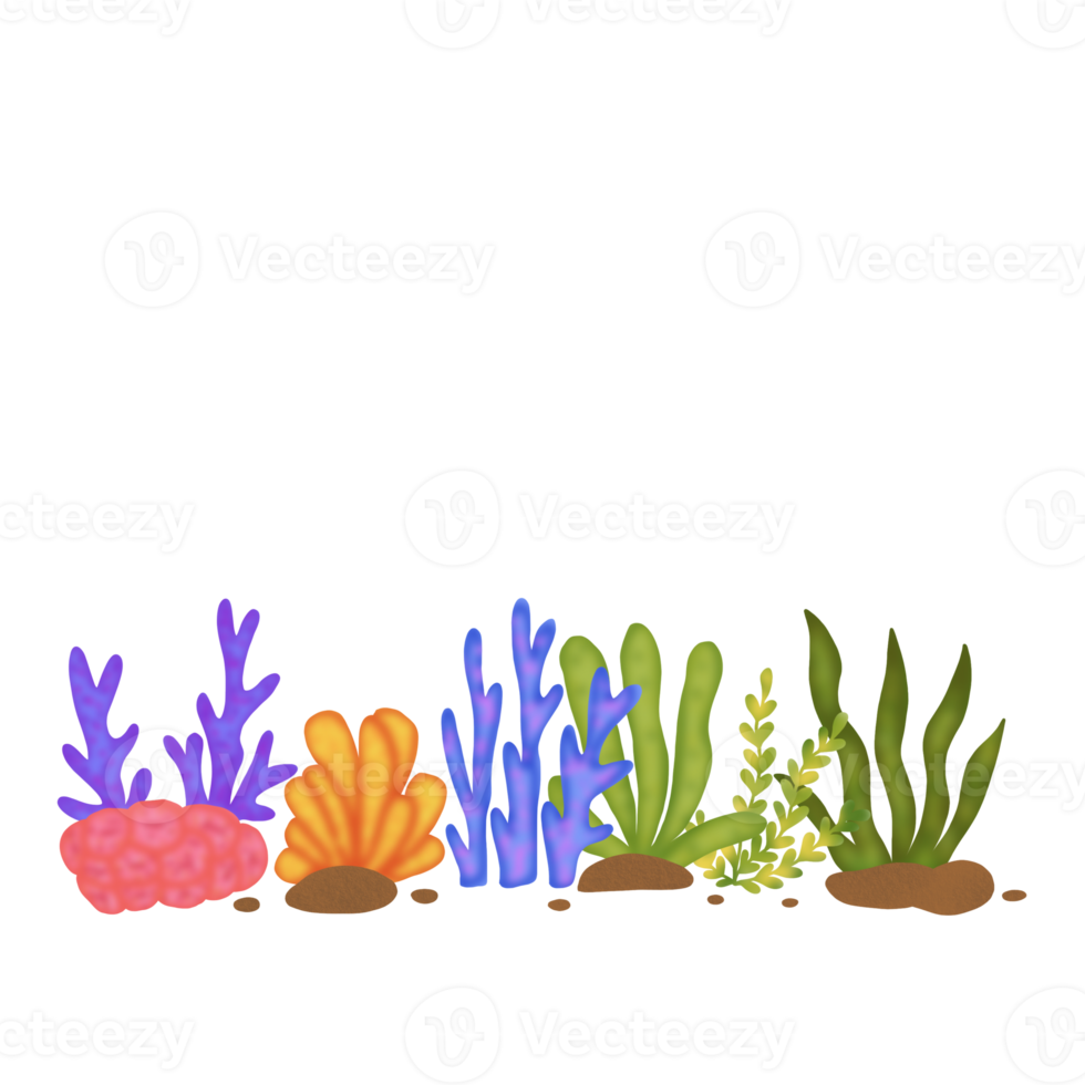 Coral Reef Composition png