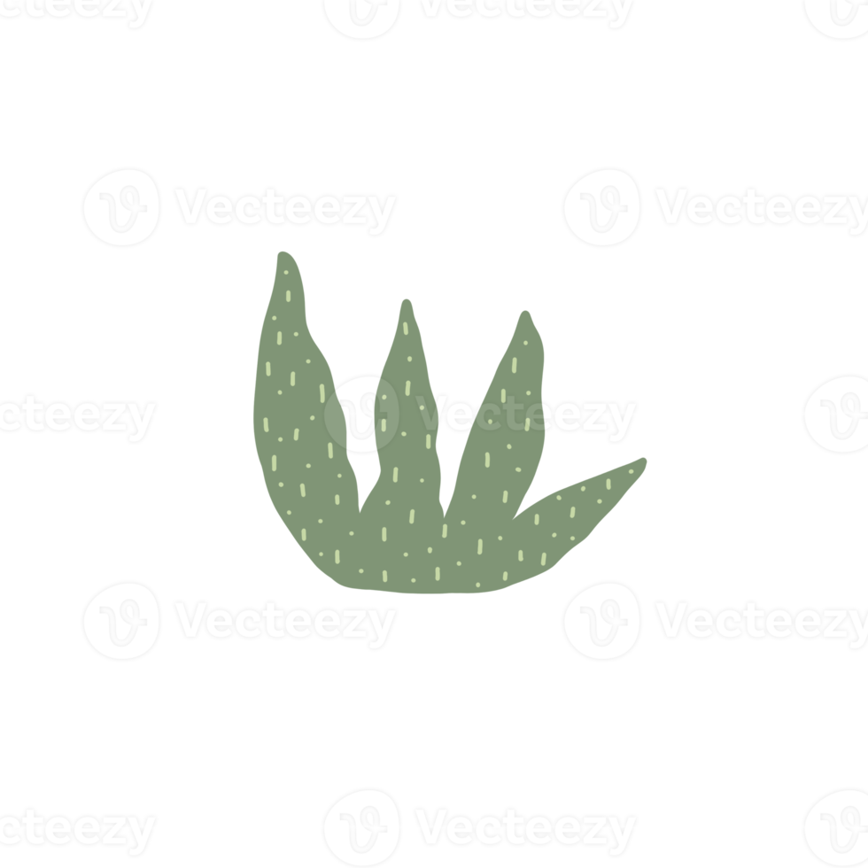 Delicate Organic Grass png