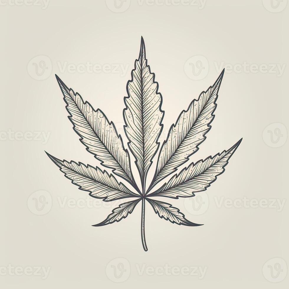 Marijuana leaf. Hand drawn design element cannabis. Vintage black vector engraving illustration for label, poster, web. . photo