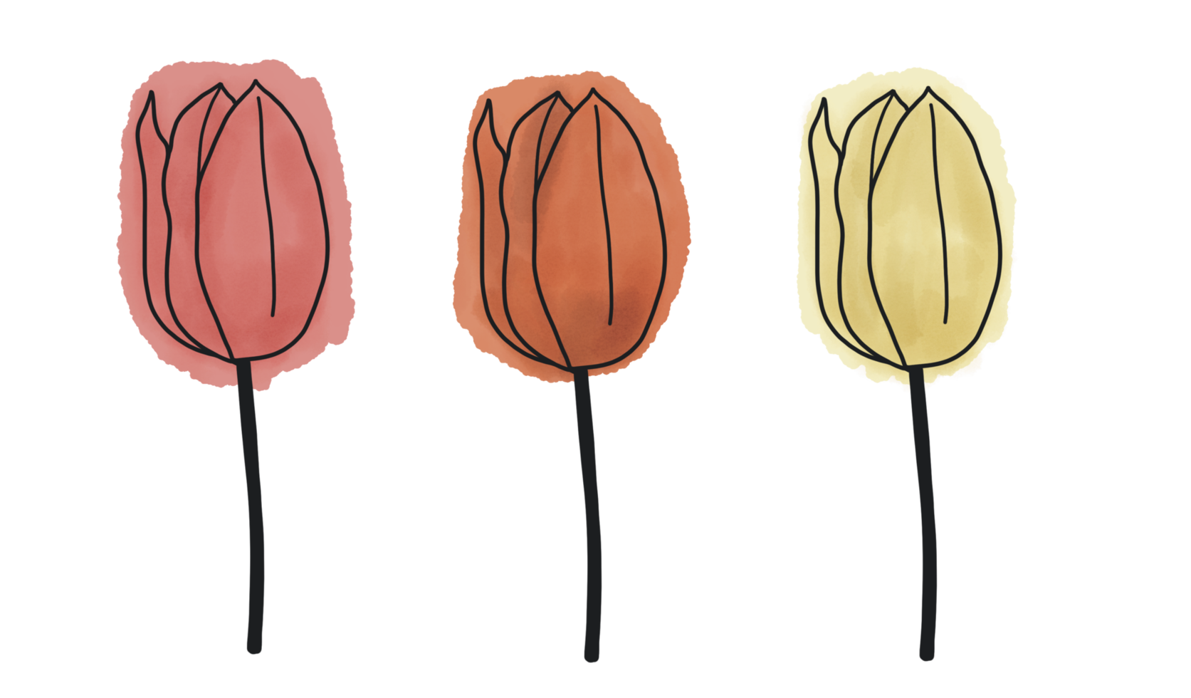 triply lonely tulip png