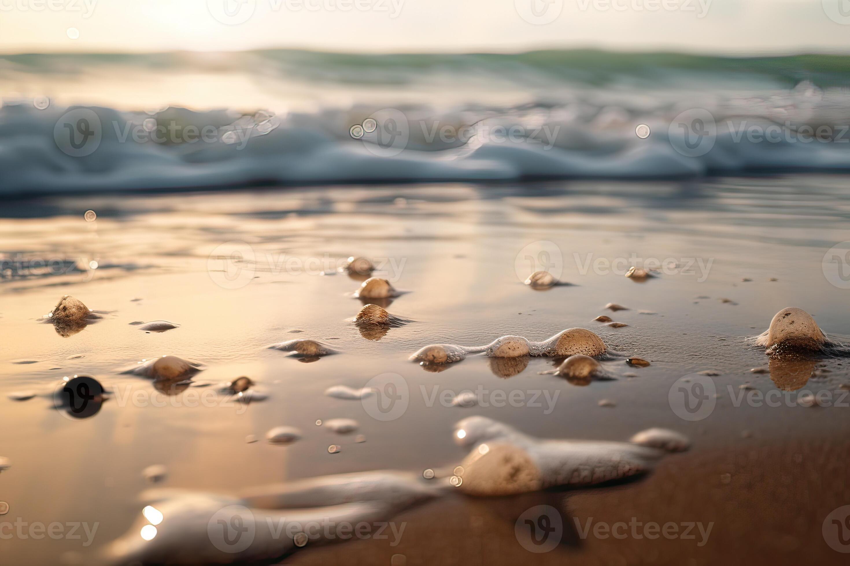 Iowa Sandy Beach: Where Sandy Shores Meet Sparkling Water