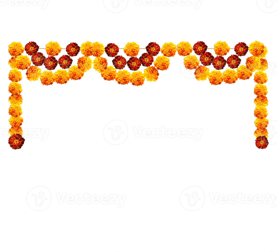 Marigold garland photo for decoration png