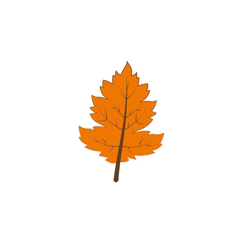 autumn orange color leaf vector icon