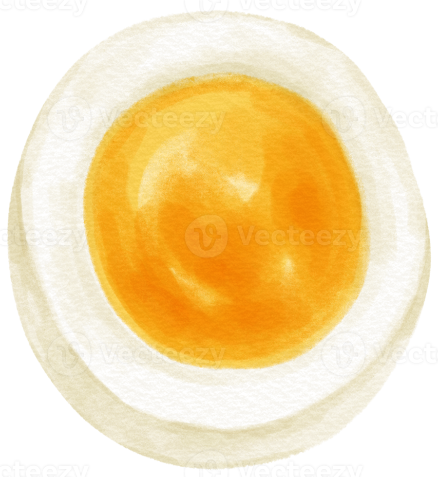 bollito uovo acquerello illustrazione png