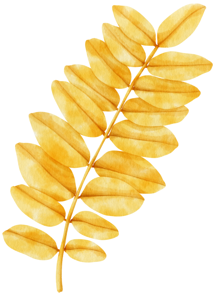 acuarela hoja de otoño png