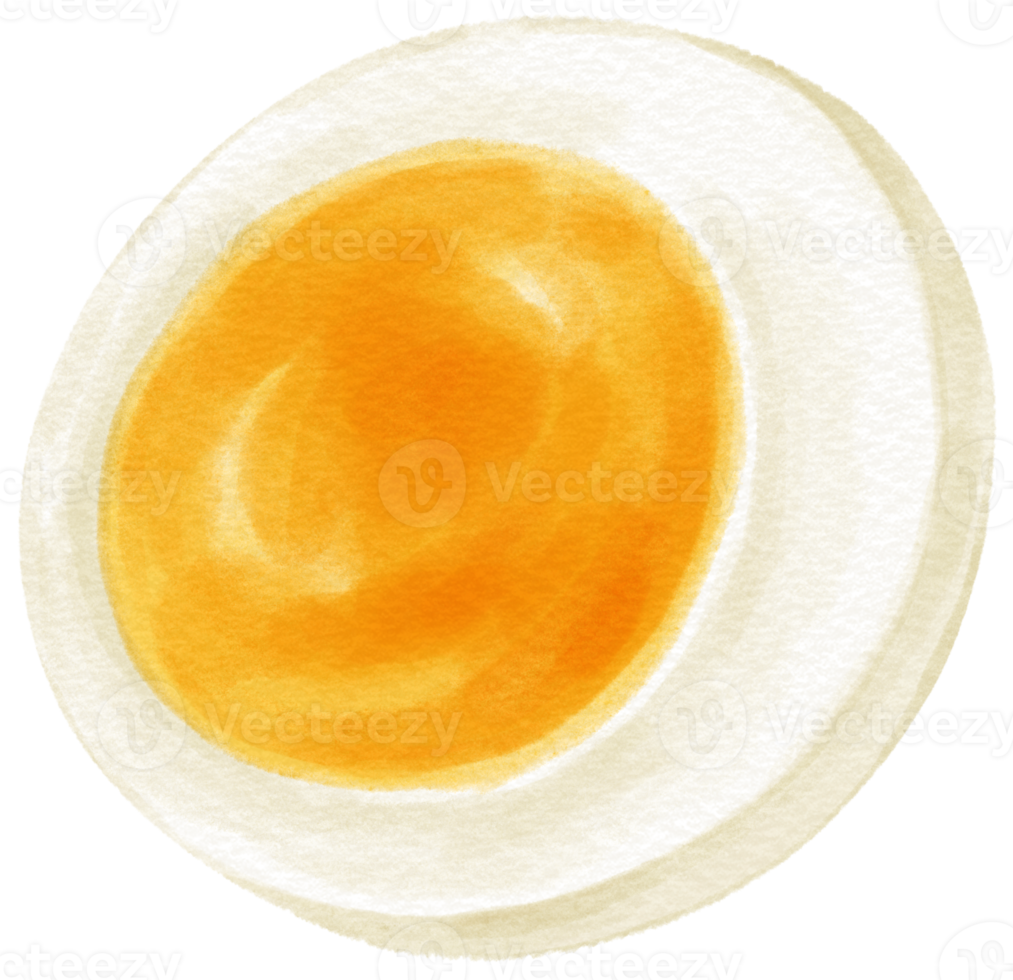 Boiled egg watercolor illustration png