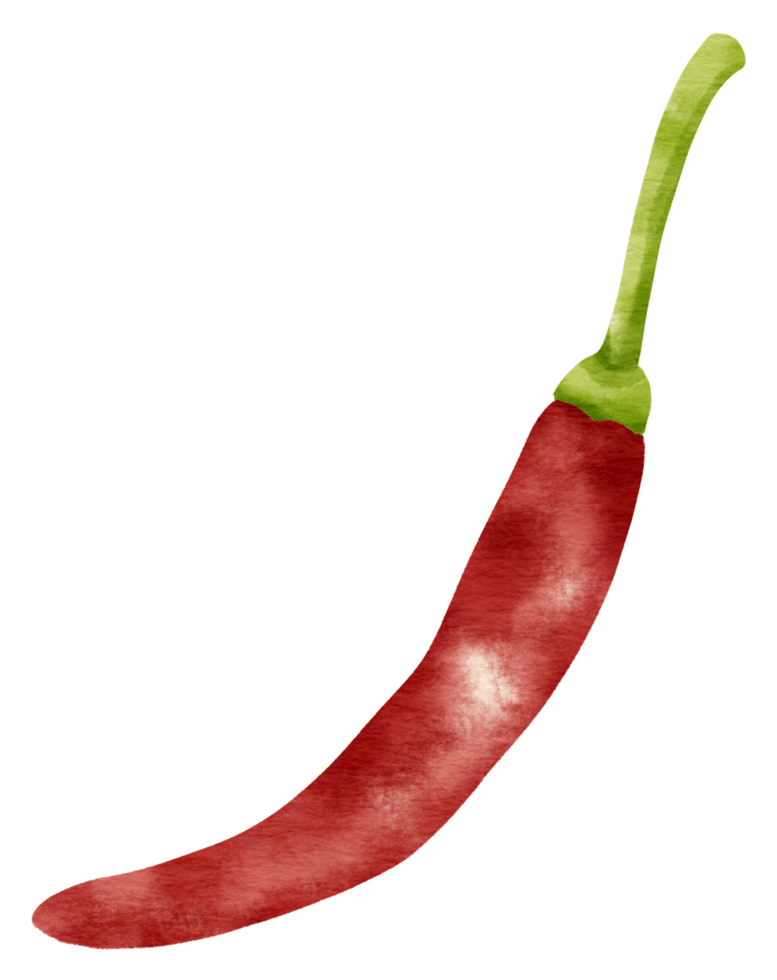 estilo aquarela de pimenta vermelha para elemento decorativo png