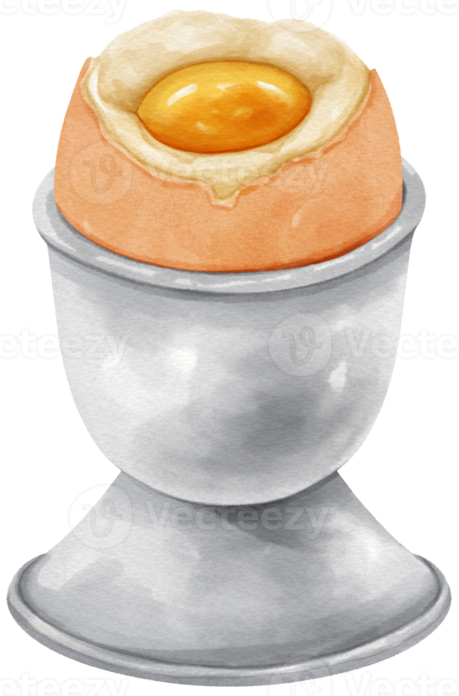 French style soft boiled eggs on the shell watercolor png