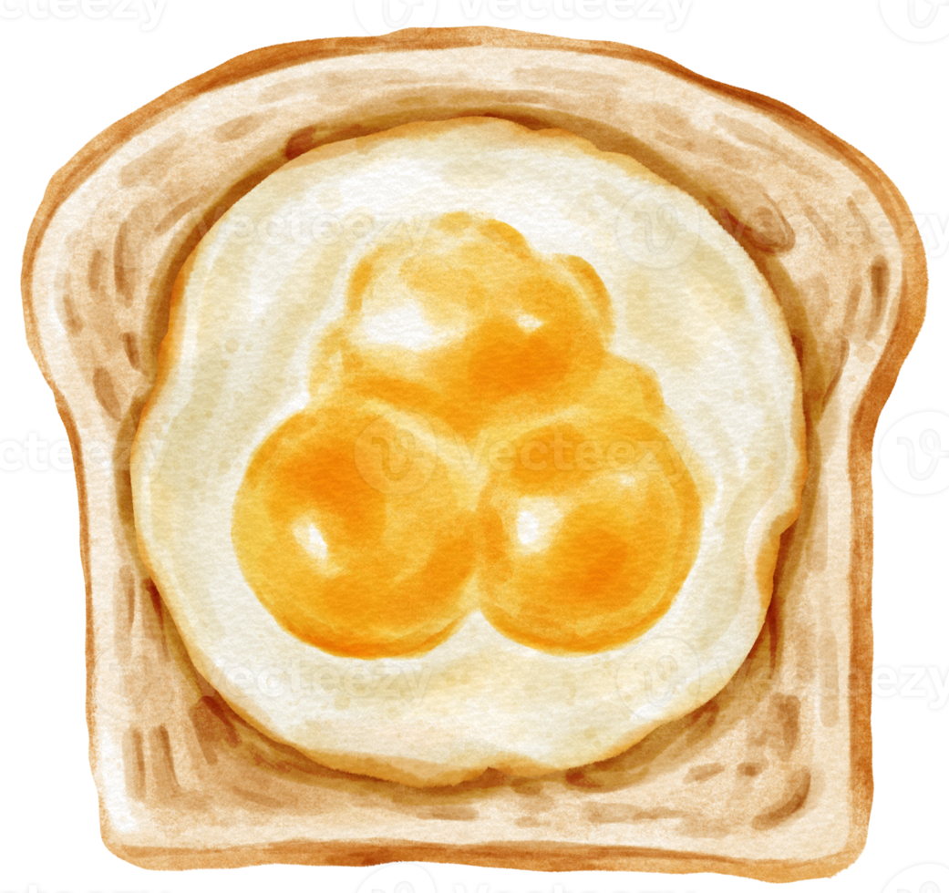 Fried eggs toast watercolor png
