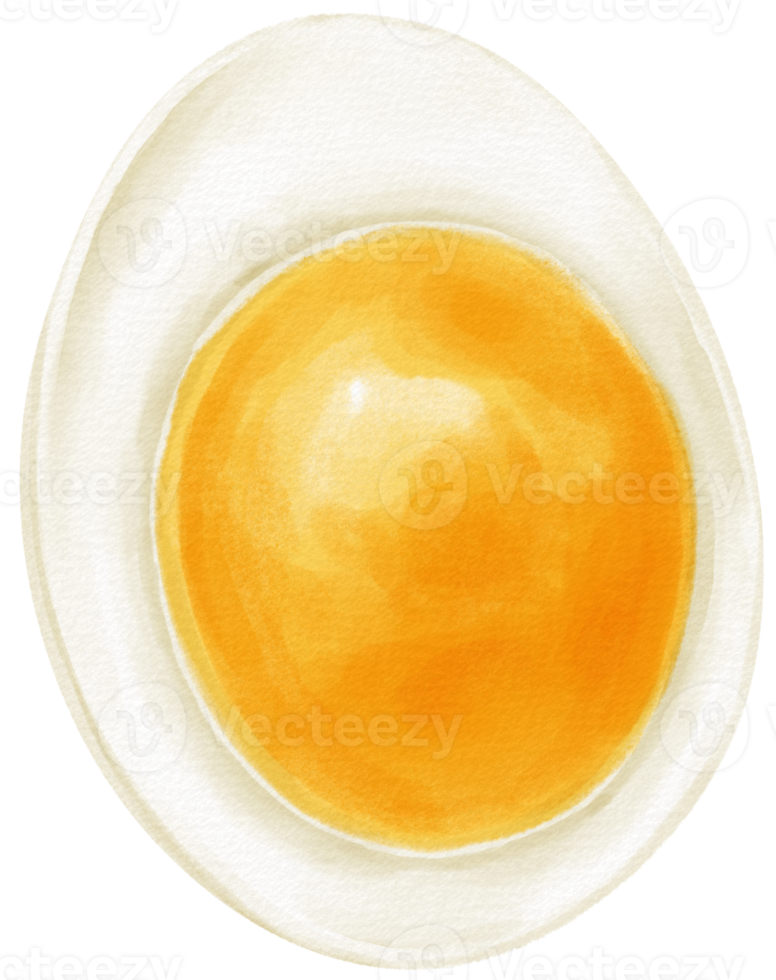 Boiled egg watercolor illustration png