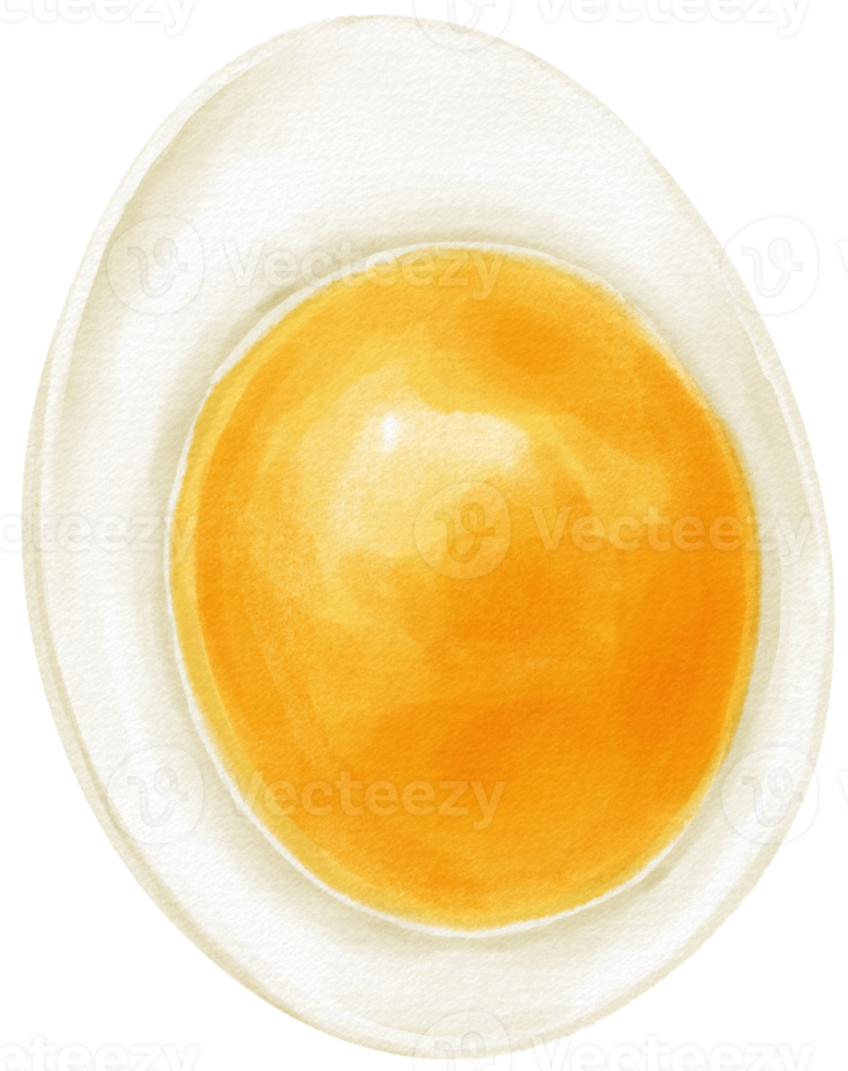 bouilli Oeuf aquarelle illustration png