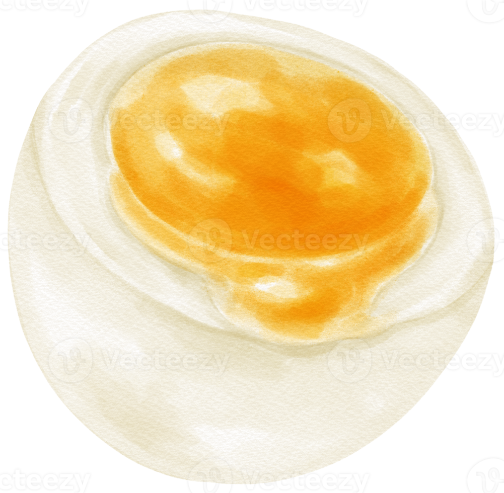Boiled egg watercolor illustration png