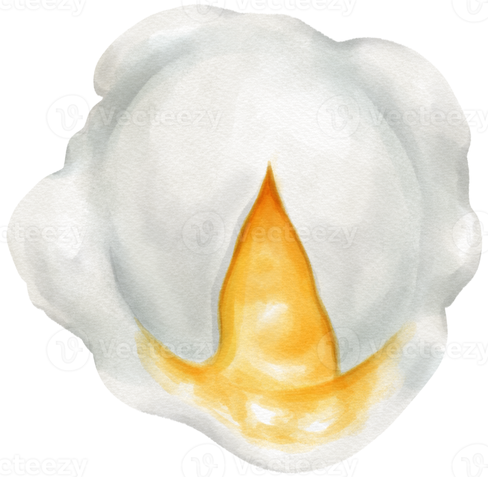 poché Oeuf aquarelle png