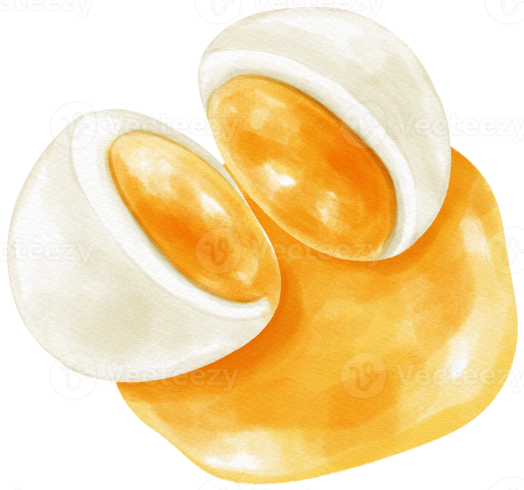 Soft boiled egg watercolor illustration png