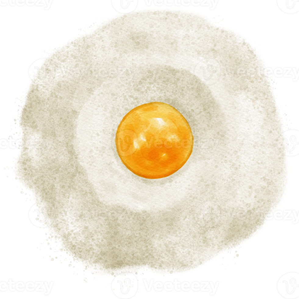 Egg yolk with Baking powder watercolor 22418326 PNG