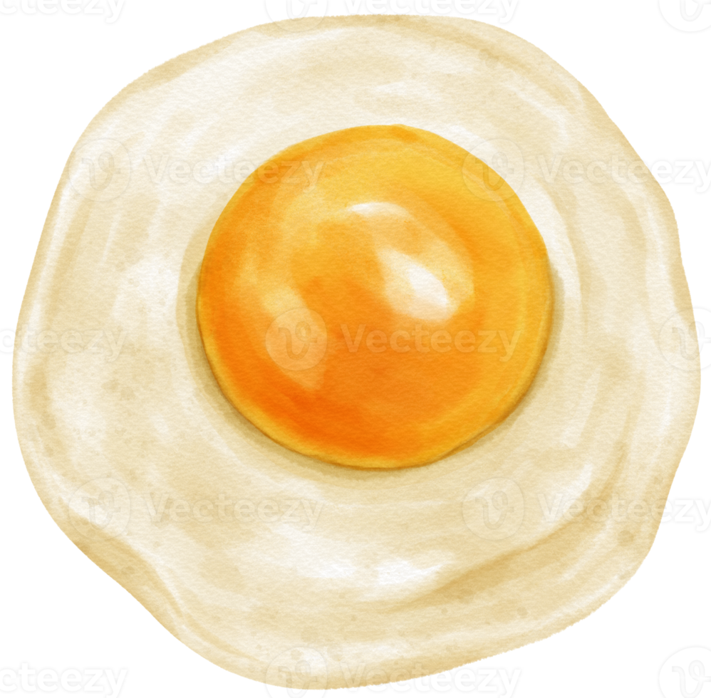 Fried egg watercolor png