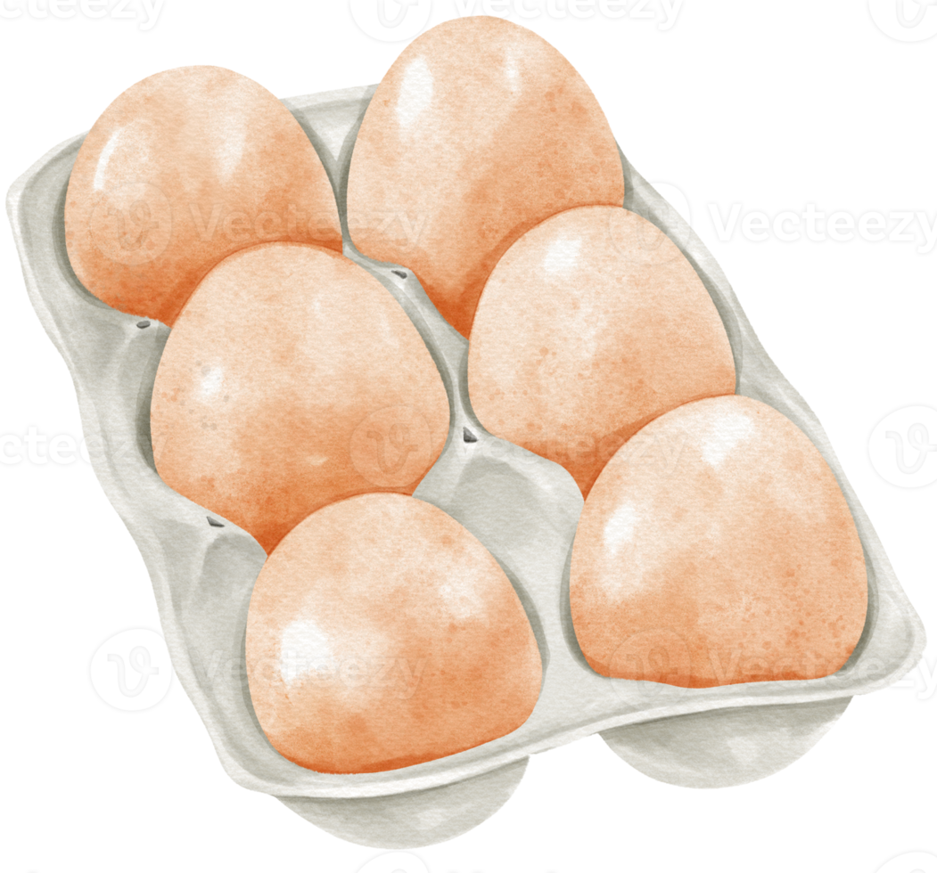 Eggs on panel watercolor png