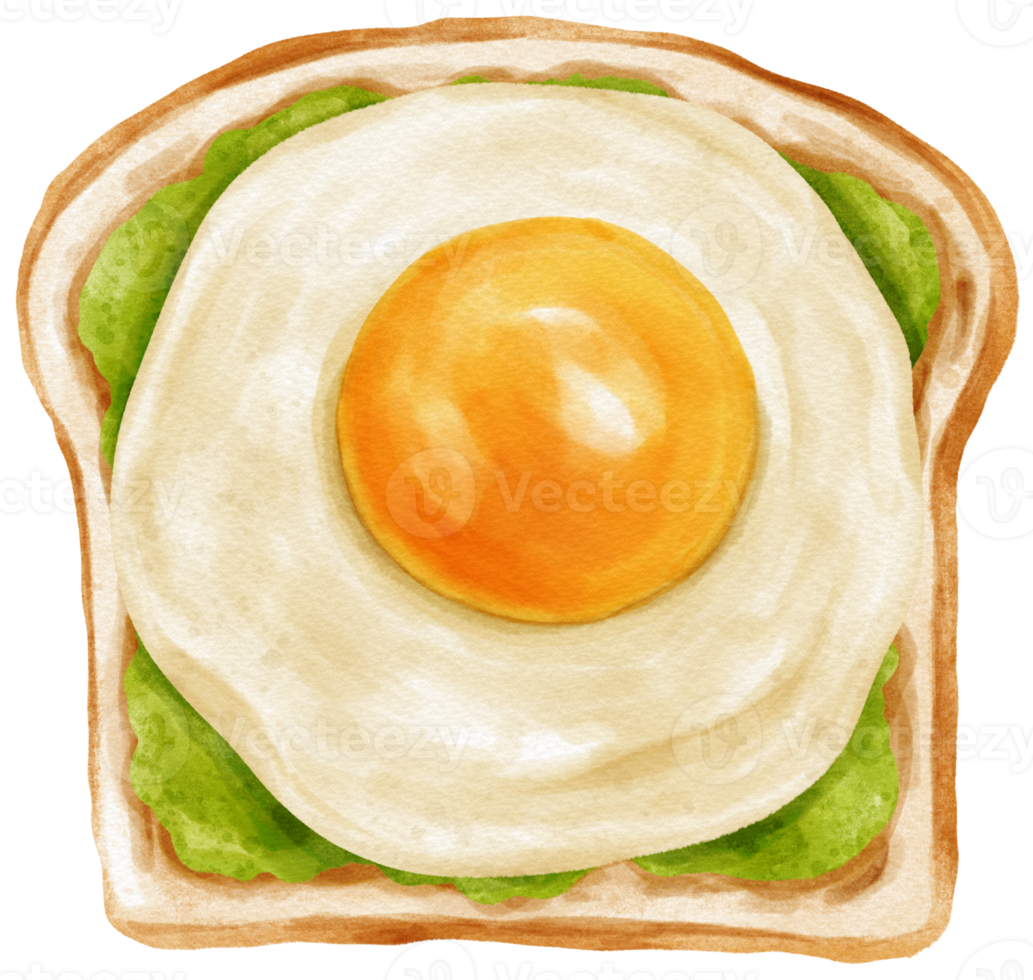 Pesto eggs toast watercolor png